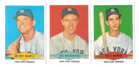 1991 Red Heart 1954 REPRINT Baseball Card Complete Set with Mantle ++