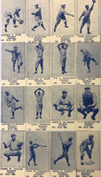 1925 Brooklyn Dodgers W504 Universal Strip 16 Card Reprint Set