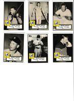 2007 Topps Mickey Mantle Story Insert Set with 15 Mantles!