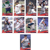 Boston Red Sox 2013 Topps Stickers 9 Card Team Set Featuring David Ortiz and Ted Williams Plus