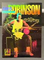 David Robinson 1991 Arena Hologram Series Mint Card #5
