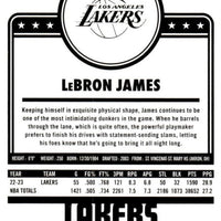 LeBron James 2023 2024 Hoops Series Mint Winter Version Tribute Card #290