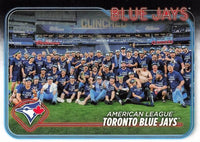 Toronto Blue Jays 2024 Topps Complete Mint Hand Collated 19 Card Team Set Featuring Vladimir Guerrero Jr and George Springer with Rookie Cards of Spencer Horwitz and Davis Schneider Plus

