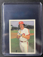 Mike Schmidt 1981 Topps Baseball Sticker  #19
