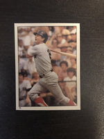 Carl Yastrzemski 1981 Topps Baseball Sticker #45
