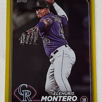 Elehuris Montero 2024 Topps Gold Series Mint Card #341