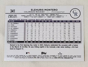 Elehuris Montero 2024 Topps Gold Series Mint Card #341