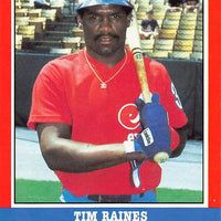 Tim Raines 1987 Fleer All-Stars Series Mint Card #34