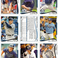 Tampa Bay Rays 2014 Topps OPENING DAY Series Basic 9 Card Team Set