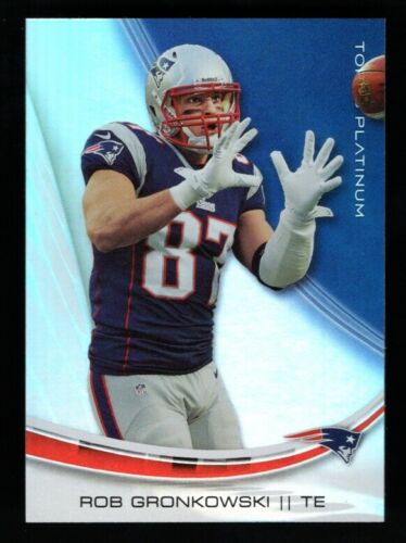 rob gronkowski 2013