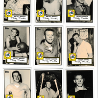 2007 Topps Mickey Mantle Story Insert Set with 15 Mantles!