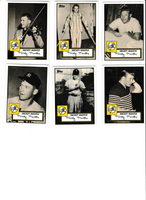 2007 Topps Mickey Mantle Story Insert Set with 15 Mantles!
